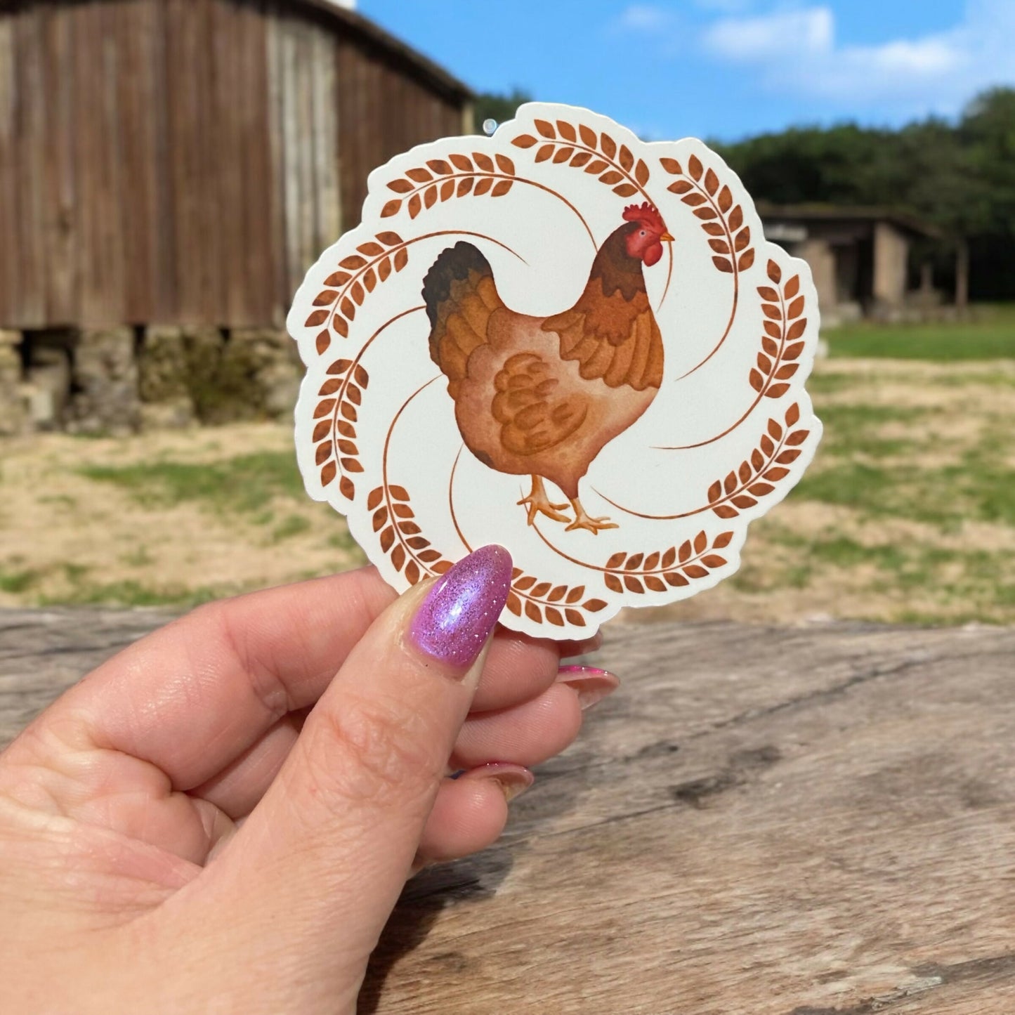 Chicken Sticker