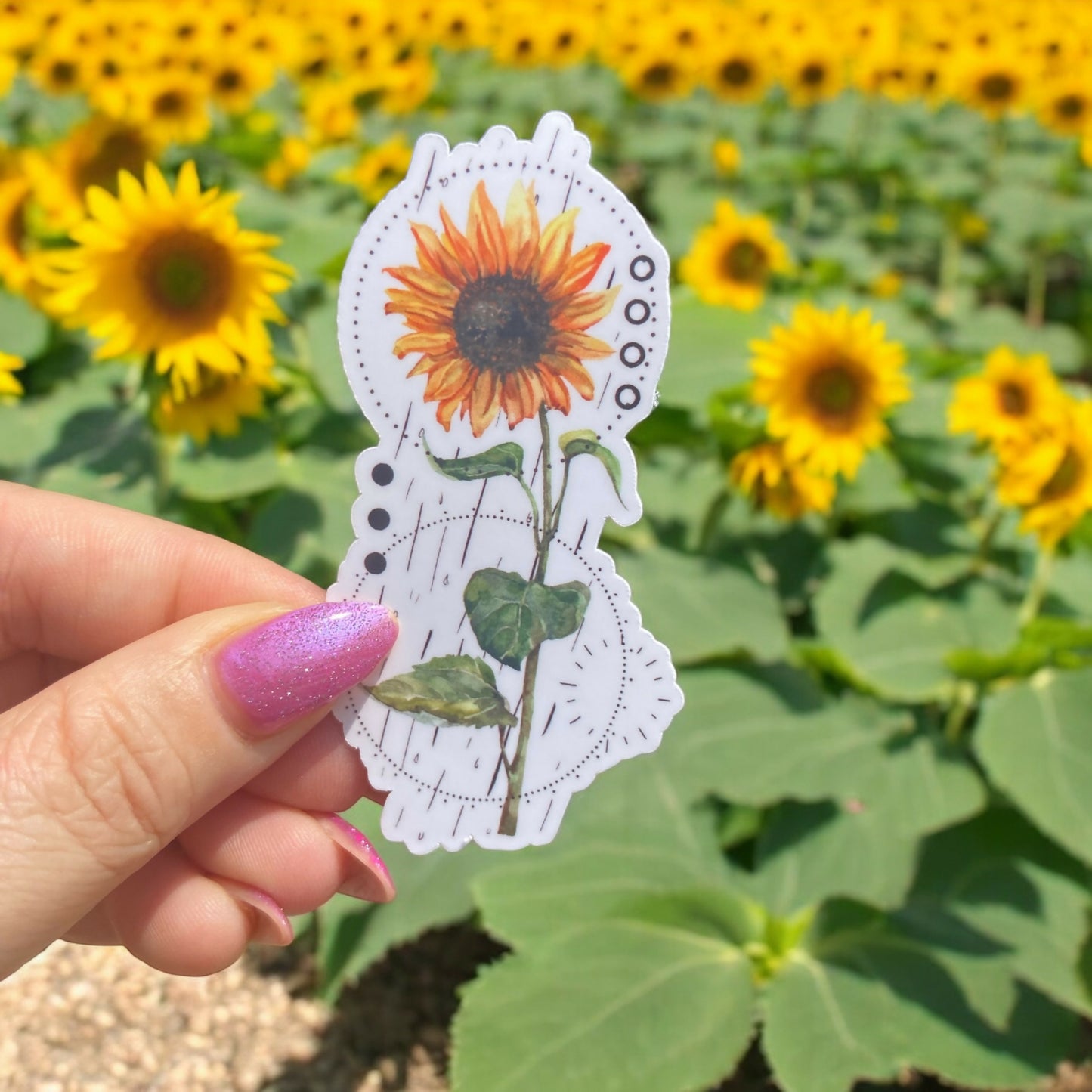 Sunflower Dot Sticker